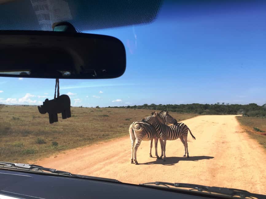 imagem n.9 de Garden Route e Addo Elephant National Park: Safari de 5 dias atividade em Cabo Oriental, carregada pelo fornecedor