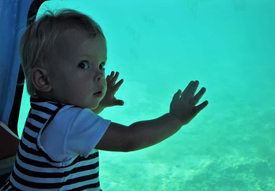 image n.5 of Chania: Semi-Submarine Boat Underwater Experience activity in Chania, uploaded by supplier
