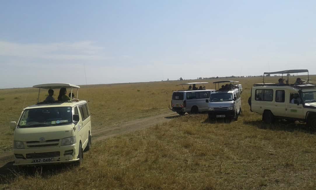 Image N°2 de Au départ de Nairobi : Safari en groupe de 3 jours et 2 nuits dans le Maasai Mara activité à Province centrale du Kenya, publiée par le prestataire