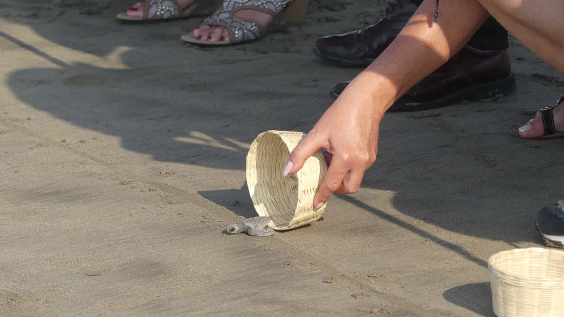image n.6 of *4 Hours Shore Excursion With Cruise Ship Terminal Pick Up. activity in Acapulco, uploaded by supplier