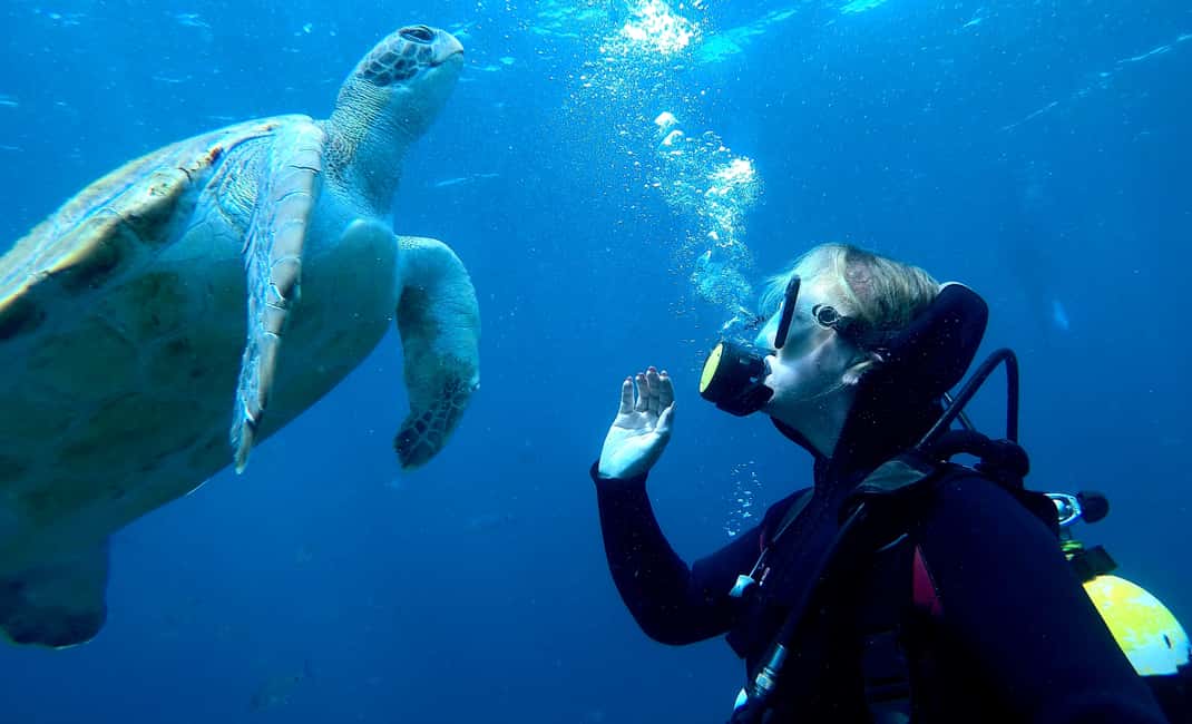 billede nr.4 af aktiviteten Tenerife: Dykkeroplevelse for begyndere i skildpaddeområdet i Costa Adeje, uploadet af udbyder