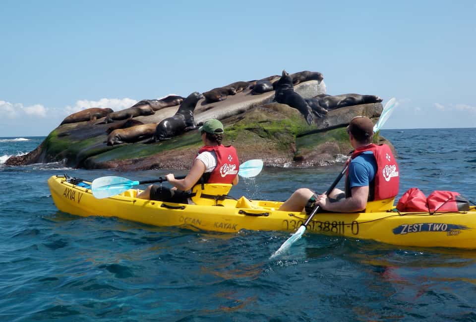 image n.8 of From Cabo: Cabo Pulmo Marine Park Snorkeling and Kayaking activity in Baja California Sur, uploaded by supplier