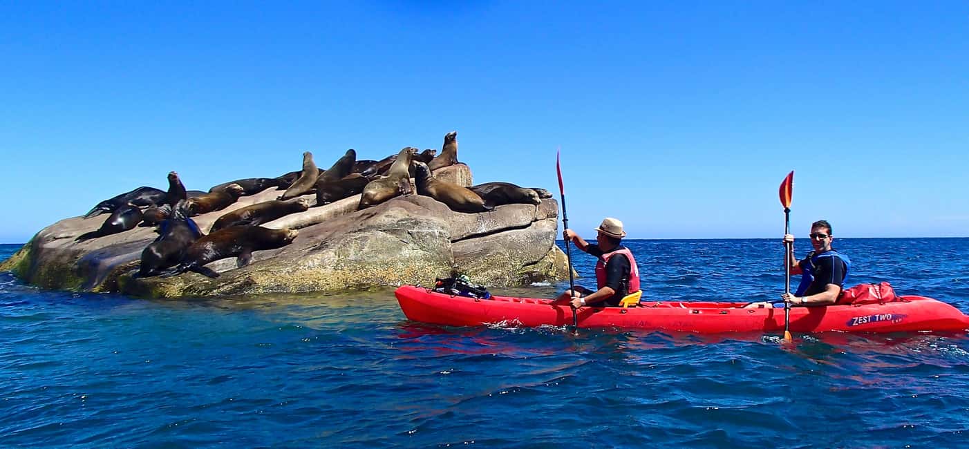 image n.1 of From Cabo: Cabo Pulmo Marine Park Snorkeling and Kayaking activity in Baja California Sur, uploaded by supplier
