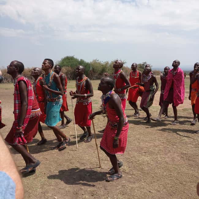 Image N°8 de Au départ de Nairobi : Safari en groupe de 3 jours et 2 nuits dans le Maasai Mara activité à Province centrale du Kenya, publiée par le prestataire