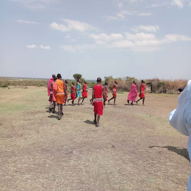 Image N°9 de Au départ de Nairobi : Safari en groupe de 3 jours et 2 nuits dans le Maasai Mara activité à Province centrale du Kenya, publiée par le prestataire