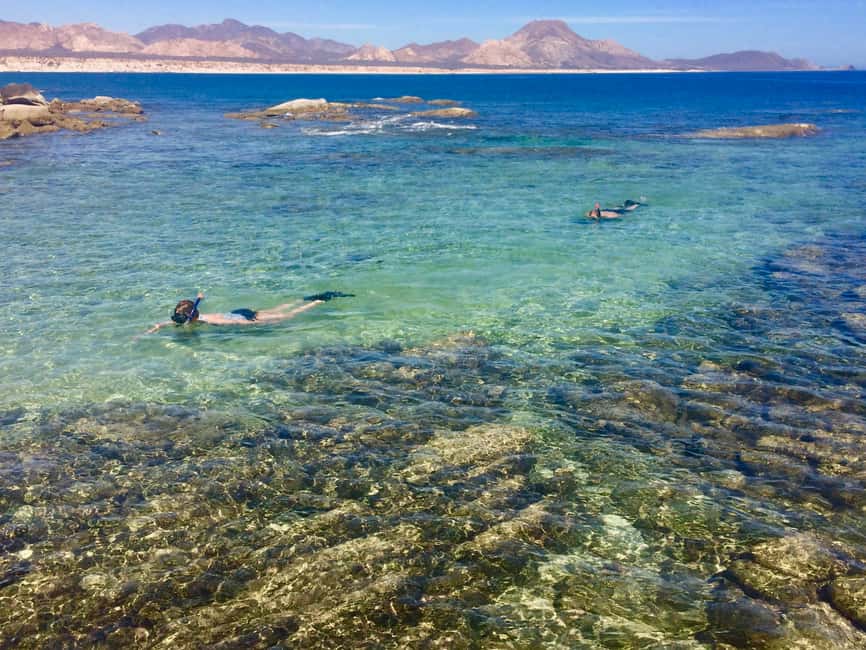 image n.4 of From Cabo: Cabo Pulmo Marine Park Snorkeling and Kayaking activity in Baja California Sur, uploaded by supplier