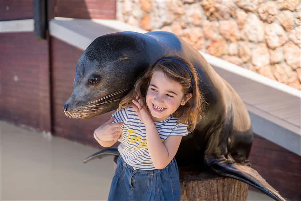 bild nr.5 av Costa d'en Blanes: Inträdesbiljett till Marineland Mallorca aktivitet i Calvià, uppladdad av arrangören