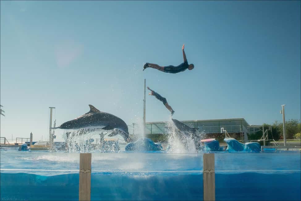 bild nr.2 av Costa d'en Blanes: Inträdesbiljett till Marineland Mallorca aktivitet i Calvià, uppladdad av arrangören