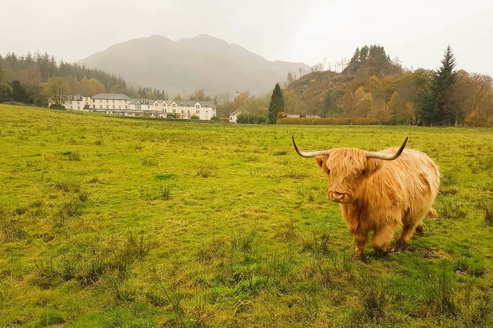 imagem n.9 de De Glasgow: Excursão a Loch Lomond, Trossachs e Castelo de Stirling atividade em Balloch, carregada pelo fornecedor