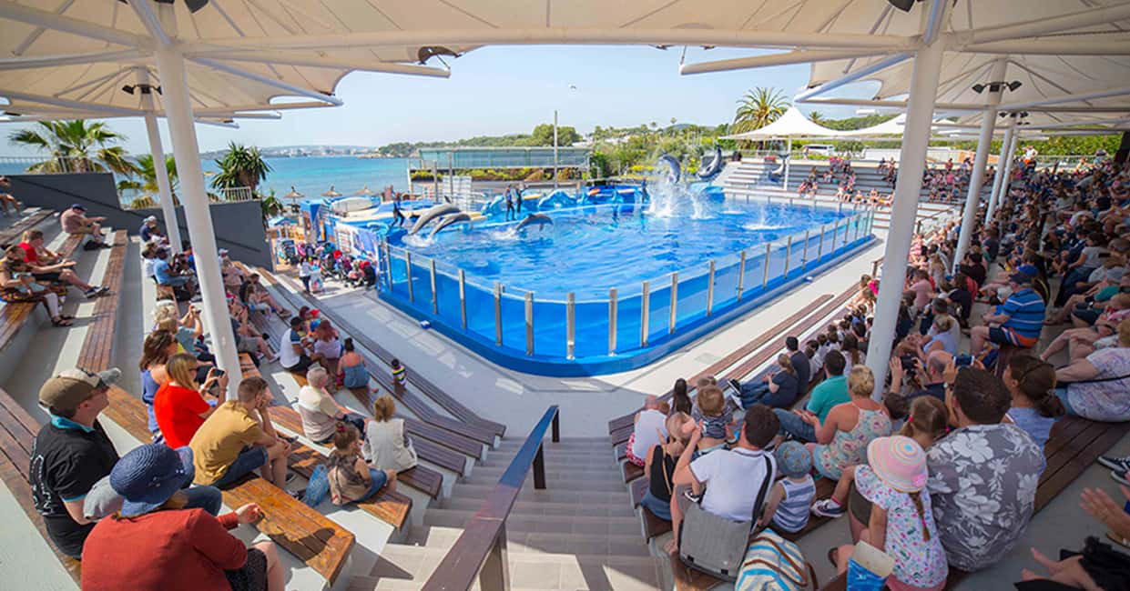 bild nr.1 av Costa d'en Blanes: Inträdesbiljett till Marineland Mallorca aktivitet i Calvià, uppladdad av arrangören