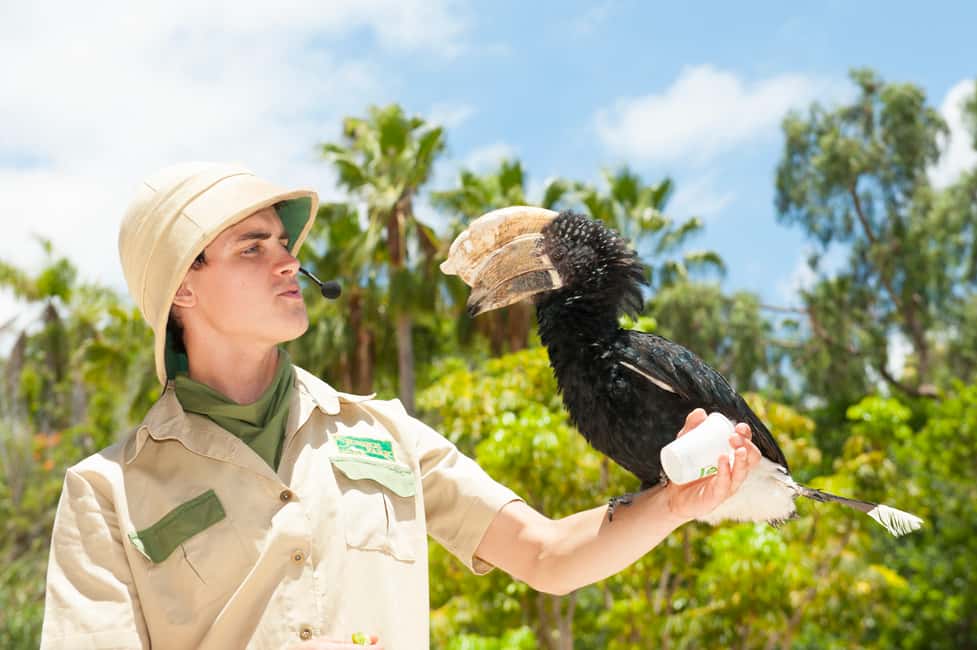 image n.2 of Arona: Entry Ticket to Tenerife's Jungle Park Zoo activity in Arona, Tenerife, uploaded by supplier