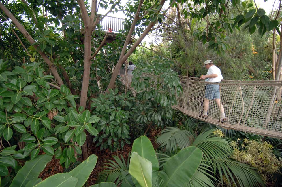 image n.4 of Arona: Entry Ticket to Tenerife's Jungle Park Zoo activity in Arona, Tenerife, uploaded by supplier