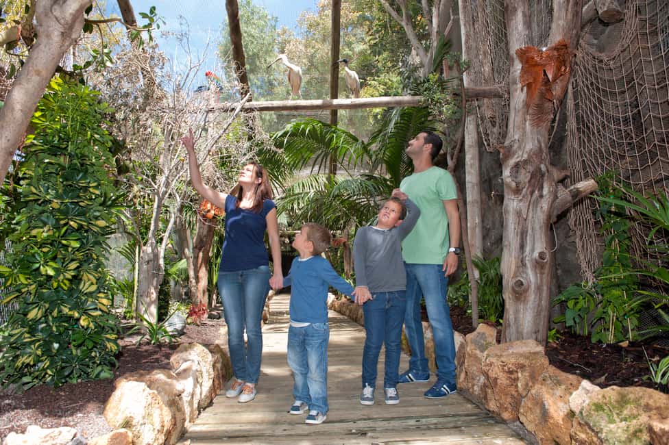 image n.7 of Arona: Entry Ticket to Tenerife's Jungle Park Zoo activity in Arona, Tenerife, uploaded by supplier