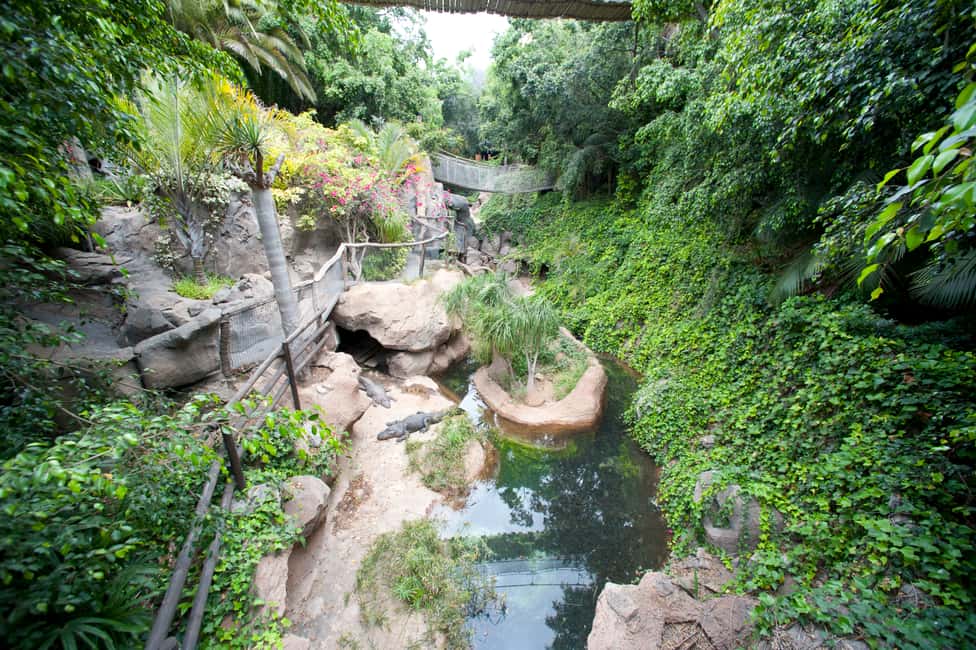 image n.8 of Arona: Entry Ticket to Tenerife's Jungle Park Zoo activity in Arona, Tenerife, uploaded by supplier