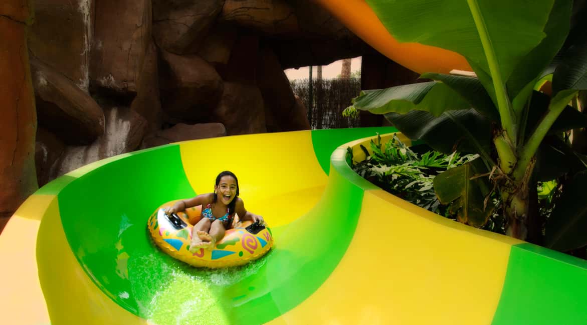 image n.4 of Costa Adeje: Aqualand Water Park Ticket with Dolphin Show activity in Costa Adeje, uploaded by supplier