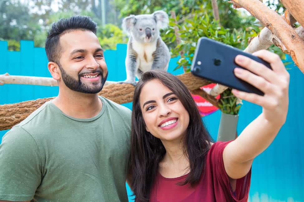 image n.6 of Tampa: ZooQuarium- ZooTampa & Florida Aquarium Combo Ticket activity in Tampa, uploaded by supplier