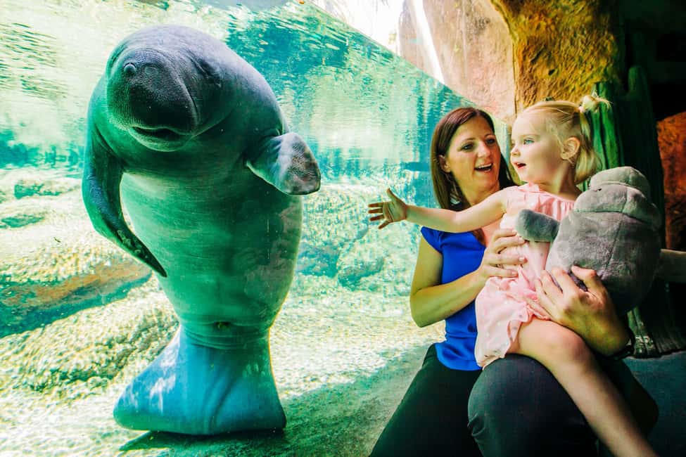 image n.15 of Tampa: ZooQuarium- ZooTampa & Florida Aquarium Combo Ticket activity in Tampa, uploaded by supplier