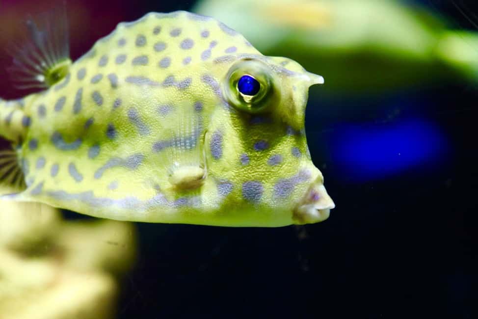 image n.16 of Tampa: ZooQuarium- ZooTampa & Florida Aquarium Combo Ticket activity in Tampa, uploaded by supplier