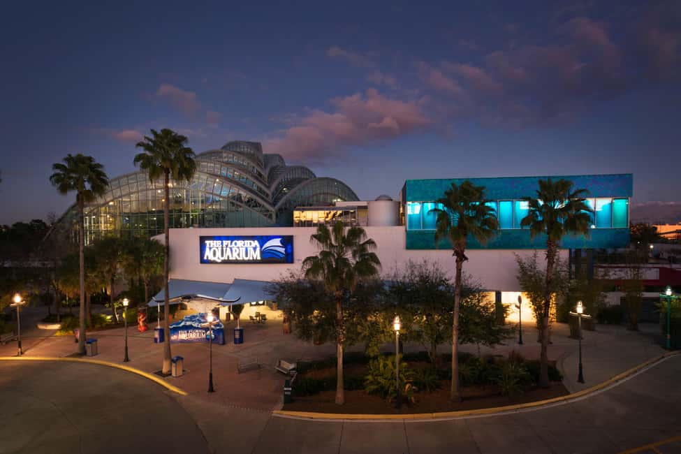 image n.26 of Tampa: ZooQuarium- ZooTampa & Florida Aquarium Combo Ticket activity in Tampa, uploaded by supplier