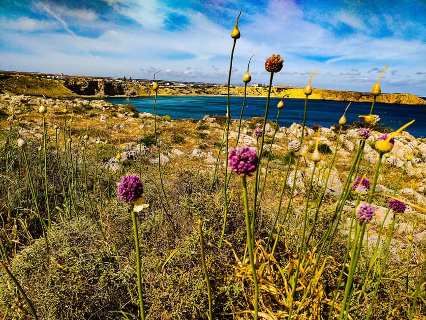 image n.15 of From Lagos: Wild and Wonderful West Coast Full-Day Tour activity in Lagos, Portugal, uploaded by supplier