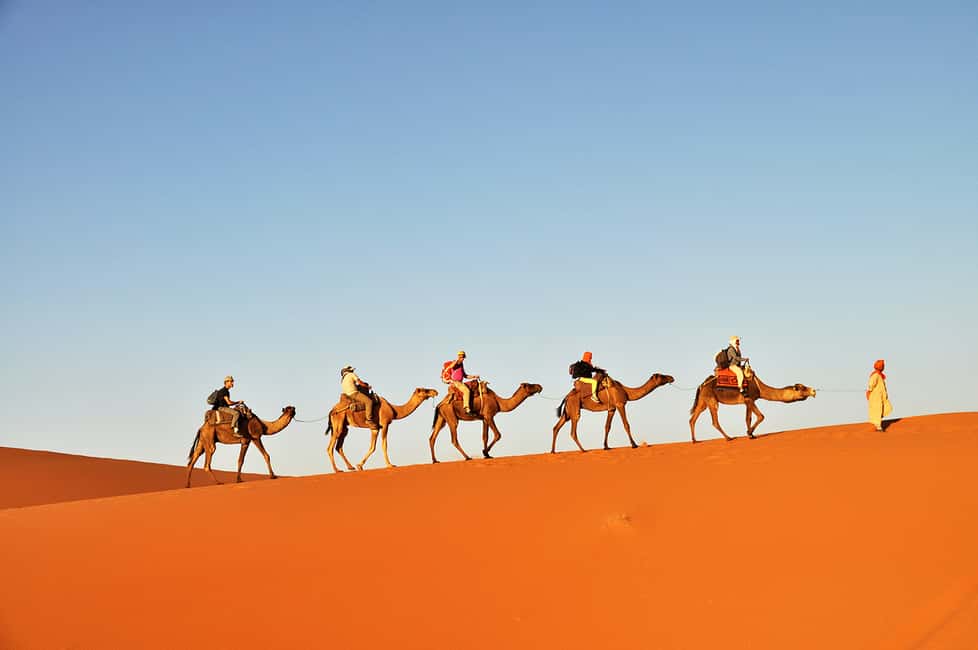 Image N°3 de Douz : Balade à dos de chameau dans le désert du Sahara au coucher ou au lever du soleil activité à Douz, publiée par le prestataire