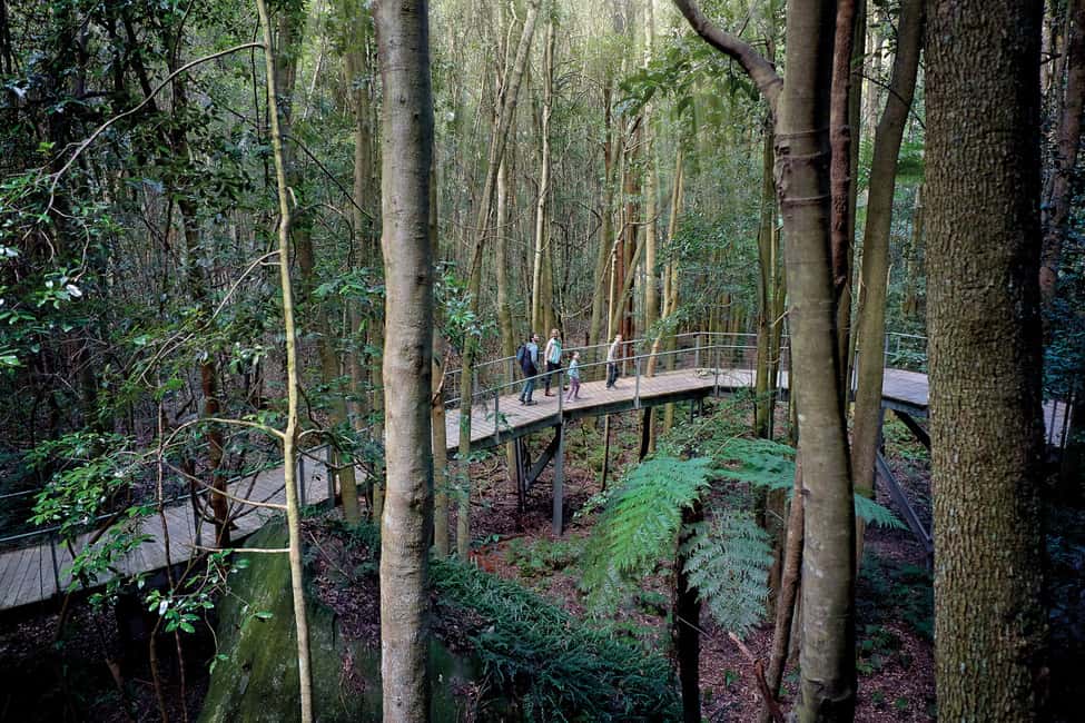 bild nr.3 av Från Sydney: Blue Mountains, Scenic World, Zoo och färjetur aktivitet i Sydney, uppladdad av arrangören