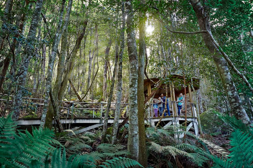 bild nr.12 av Från Sydney: Blue Mountains, Scenic World, Zoo och färjetur aktivitet i Sydney, uppladdad av arrangören