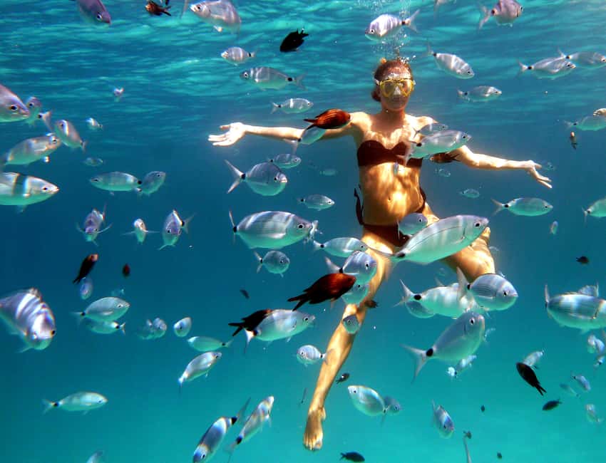 Immagine nº 2 di Sardegna: tour mattutino in kayak + snorkeling e aperitivo locale attività a Sardegna, caricata dal fornitore