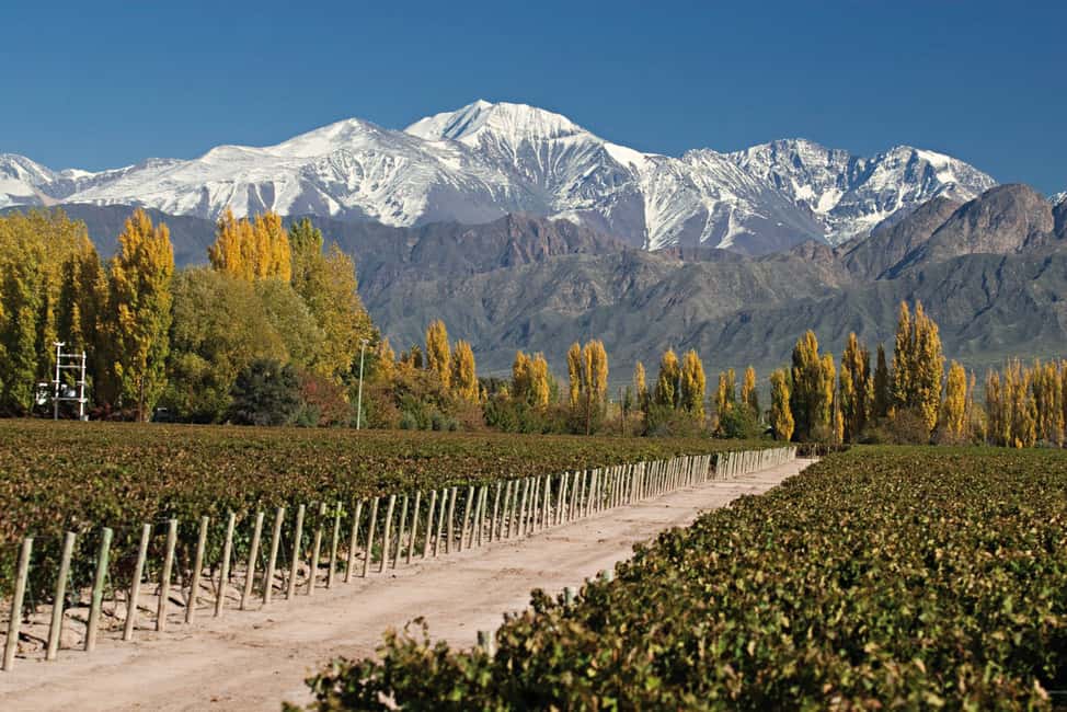 imagem n.5 de Valle de Uco: Excursão particular de 1 dia ao vinho com almoço de 3 pratos atividade em Província de Mendoza, carregada pelo fornecedor