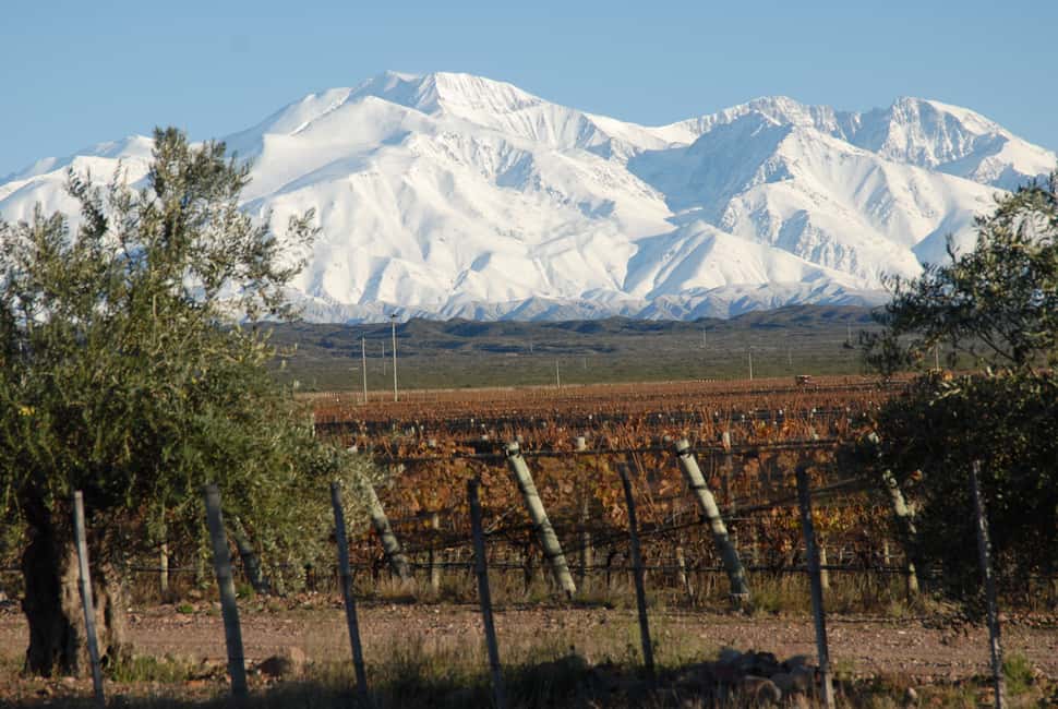 imagem n.6 de Valle de Uco: Excursão particular de 1 dia ao vinho com almoço de 3 pratos atividade em Província de Mendoza, carregada pelo fornecedor