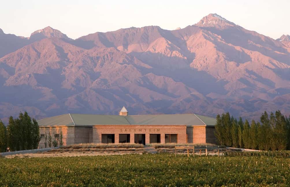 imagem n.3 de Valle de Uco: Excursão particular de 1 dia ao vinho com almoço de 3 pratos atividade em Província de Mendoza, carregada pelo fornecedor