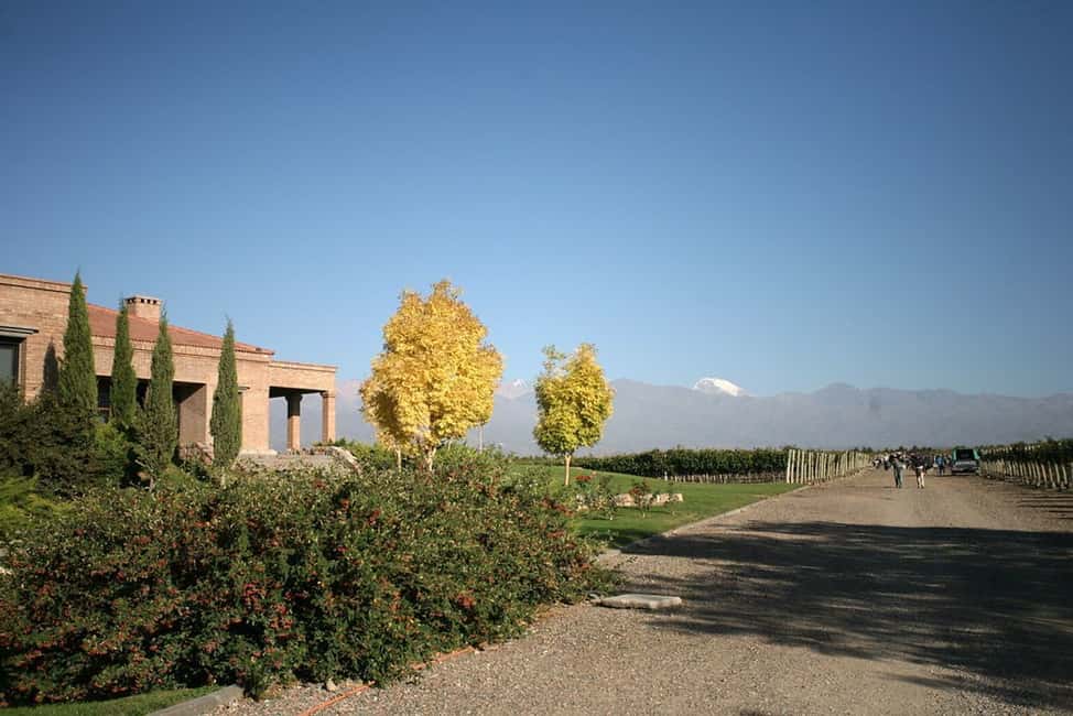 imagem n.2 de Valle de Uco: Excursão particular de 1 dia ao vinho com almoço de 3 pratos atividade em Província de Mendoza, carregada pelo fornecedor