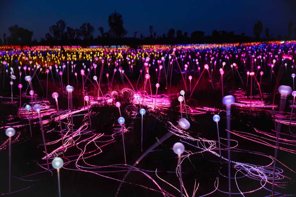 image n.5 of Uluru: Field of Light Sunrise Tour with Hot Drinks activity in Yulara, uploaded by supplier
