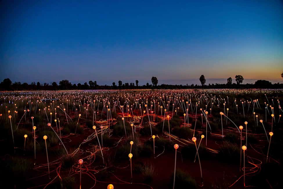 image n.7 of Uluru: Field of Light Sunrise Tour with Hot Drinks activity in Yulara, uploaded by supplier