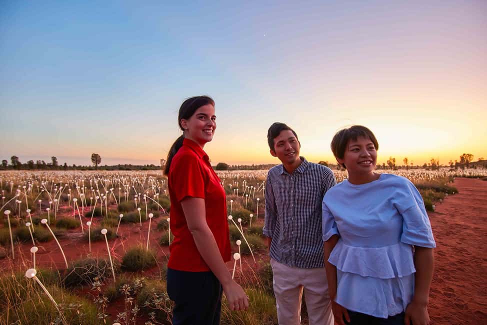 image n.10 of Uluru: Field of Light Sunrise Tour with Hot Drinks activity in Yulara, uploaded by supplier