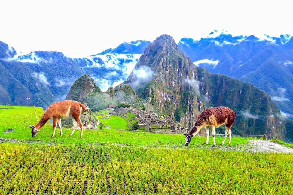 imagen n.º 4 de Desde Cusco: Camino Inca de 4 días a Machu Picchu Grupos reducidos actividad en Departamento del Cuzco, subida por el proveedor