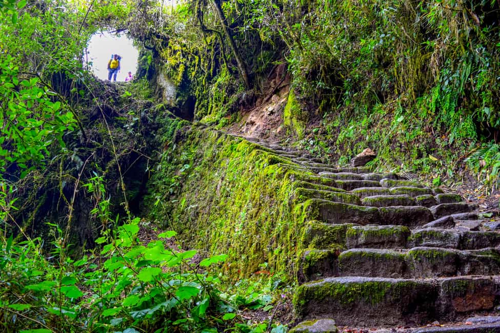 imagen n.º 7 de Desde Cusco: Camino Inca de 4 días a Machu Picchu Grupos reducidos actividad en Departamento del Cuzco, subida por el proveedor