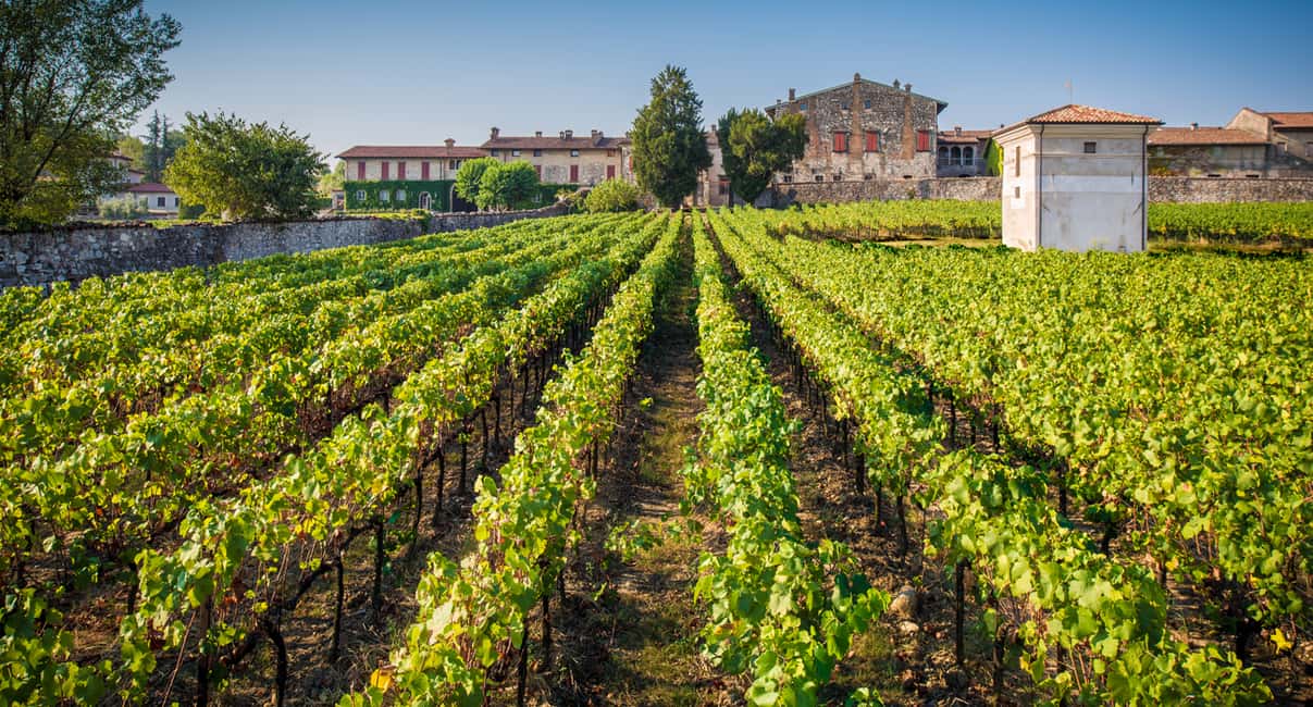 Obraz nr 3 z atrakcji Z Bergamo: Wycieczka do winiarni we Franciacorta z lunchem w Lombardia, przesłany przez organizatora