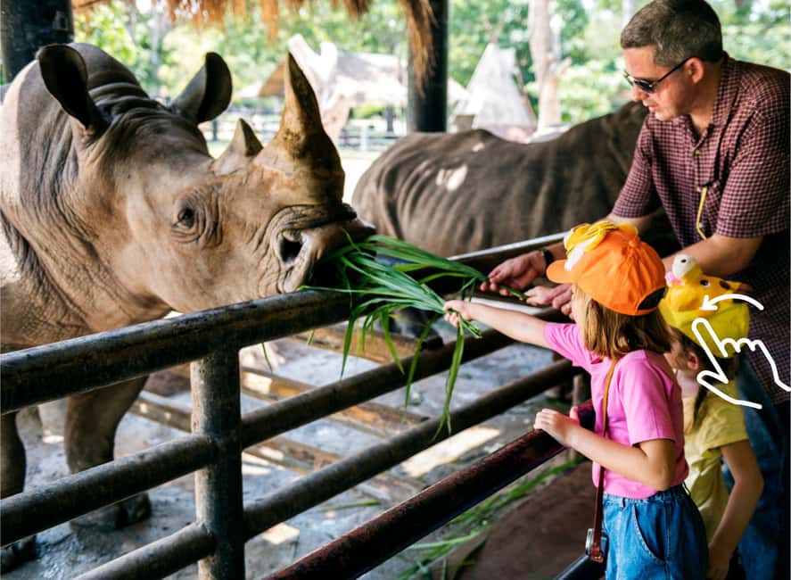 Bild Nr. 3 von Krakau: Zoo mit Abholung vom Hotel Aktivität in Krakau, hochgeladen vom Anbieter