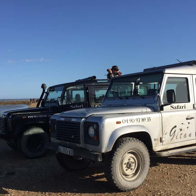 image n.3 of Camargue: Safari from Saintes-Maries-de-la-Mer activity in Saintes-Maries-de-la-Mer, uploaded by supplier
