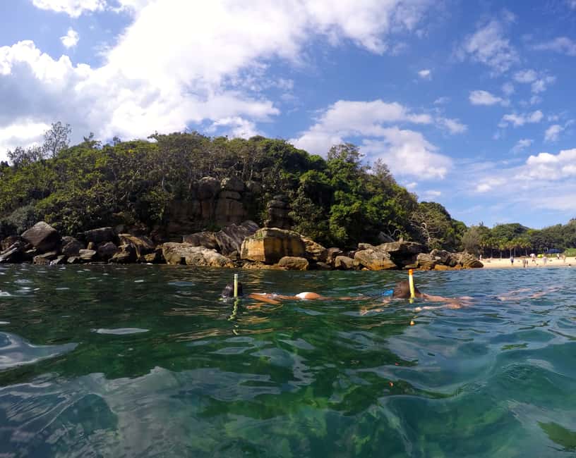 image n.13 of Sydney: Manly and Shelly Beach Snorkeling Tour activity in Sydney, uploaded by supplier