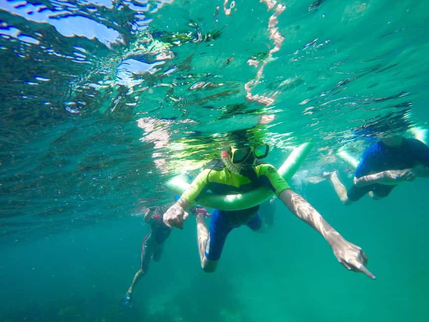 image n.3 of Sydney: Manly and Shelly Beach Snorkeling Tour activity in Sydney, uploaded by supplier