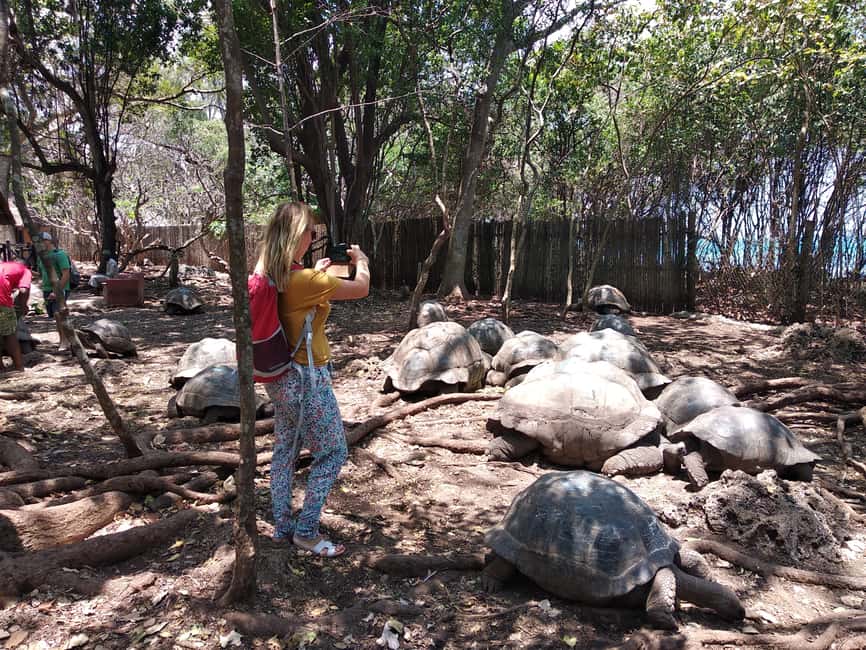image n.11 of From Zanzibar: Half-Day Prison Island Tour activity in Unguja South Region, uploaded by supplier