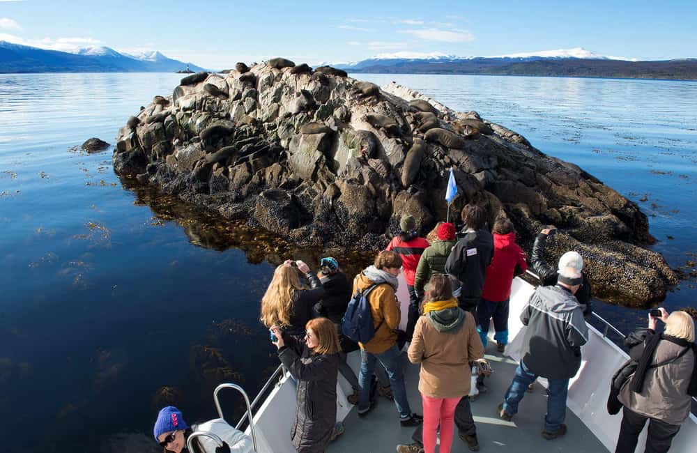 Image N°7 de Visite d'une demi-journée à travers le canal de Beagle jusqu'à l'île de Lobos activité à Terre de Feu, publiée par le prestataire