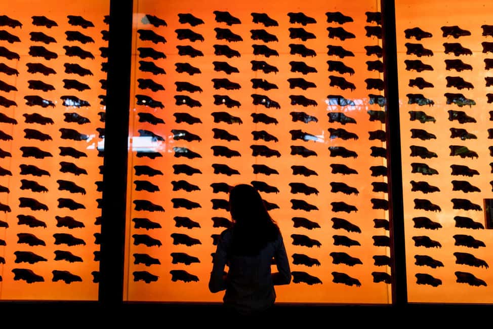 Image N°12 de Los Angeles : billet pour le musée La Brea Tar Pits activité à Los Angeles, publiée par le prestataire
