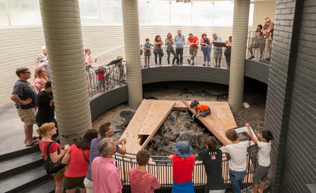 Image N°11 de Los Angeles : billet pour le musée La Brea Tar Pits activité à Los Angeles, publiée par le prestataire