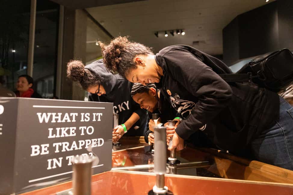 Image N°9 de Los Angeles : billet pour le musée La Brea Tar Pits activité à Los Angeles, publiée par le prestataire