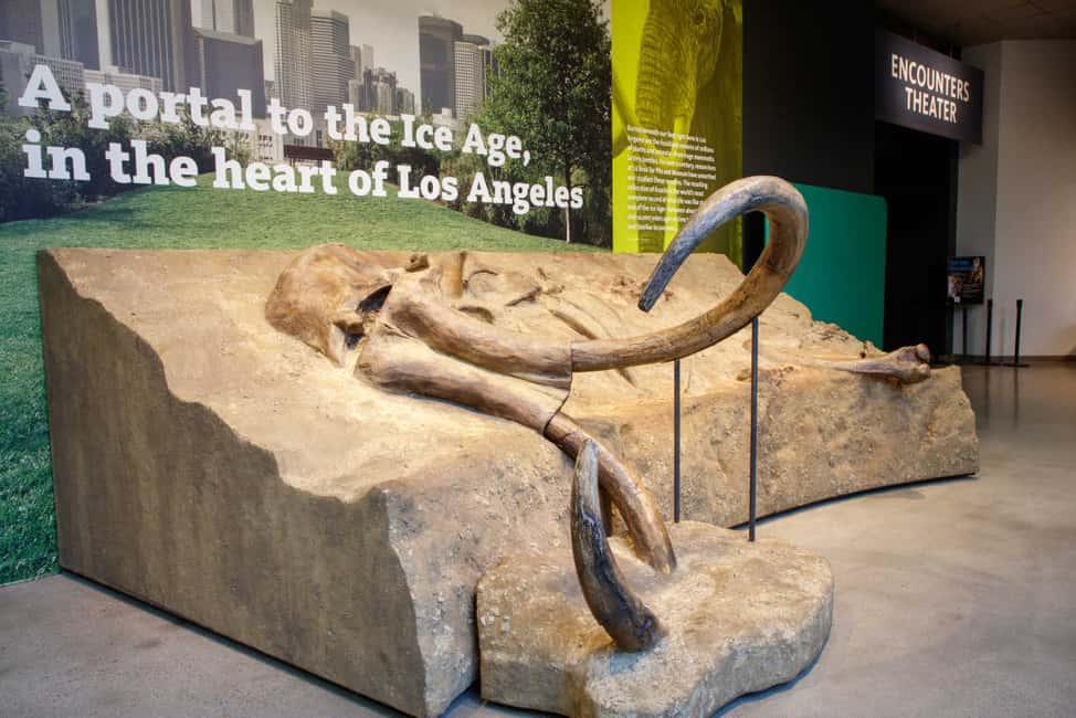 Image N°6 de Los Angeles : billet pour le musée La Brea Tar Pits activité à Los Angeles, publiée par le prestataire