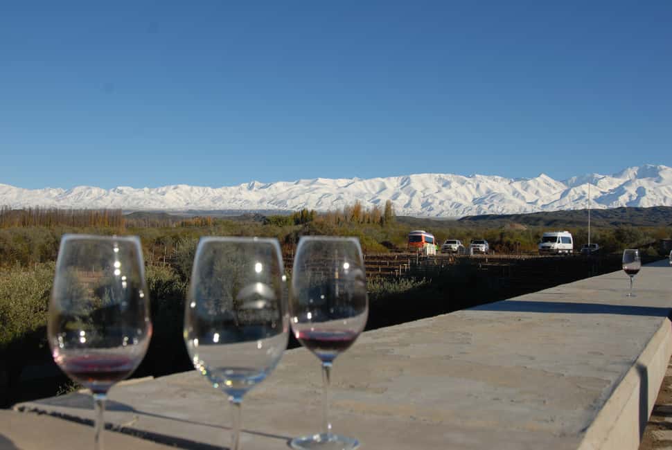 imagem n.11 de Mendoza: Excursão de 1 dia ao vinho com almoço de 3 pratos atividade em Província de Mendoza, carregada pelo fornecedor