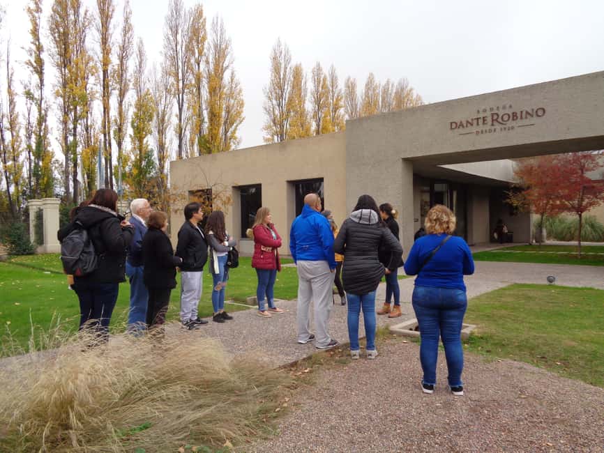 image n.4 of Mendoza: Half-Day Wine Tour with Tastings activity in Mendoza, uploaded by supplier